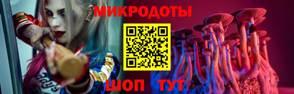 как найти   Псилоцибиновые грибы MAGIC MUSHROOMS  Вход с VPN  Валуйки 